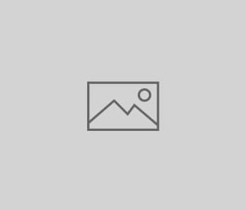 Tetrascape: Privacy Policy
